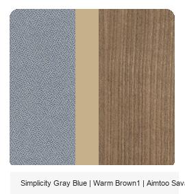 Office Color Palette: Simplicity Gray Blue | Warm Brown1 | Aimtoo Savatre