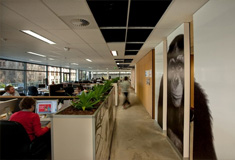 Office Interior Design that Multiplies Innovation