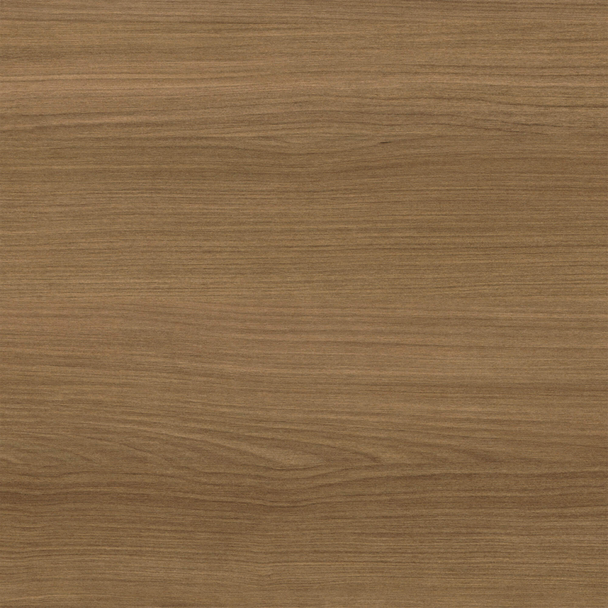 Contemporary office desk CUB MILLENIUM C005 MAR HO52SN DR GOL