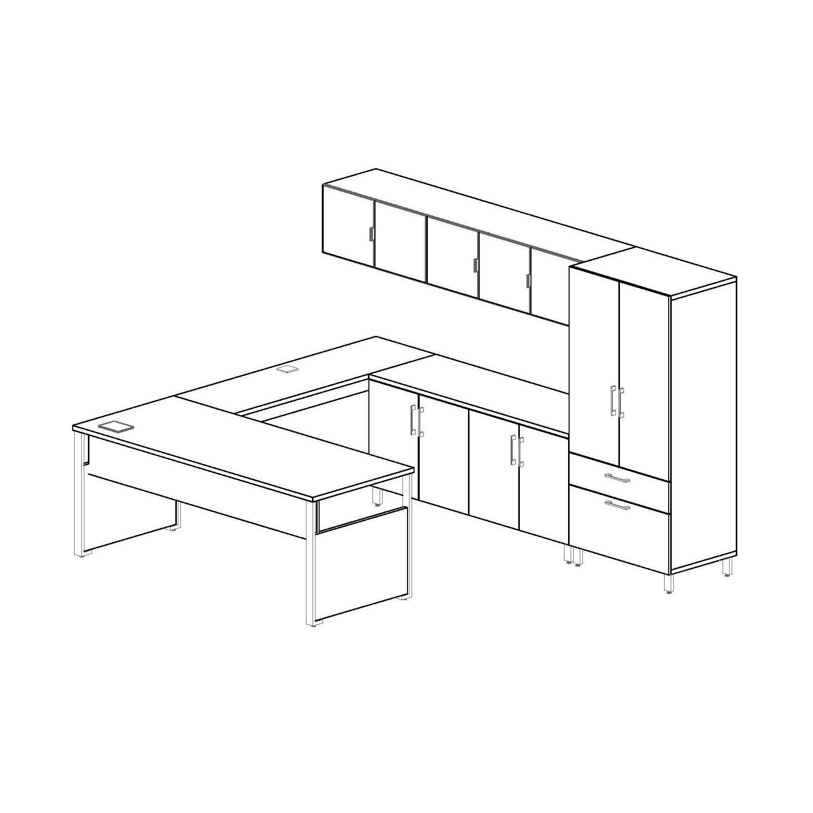 Executive office desks layout 3d