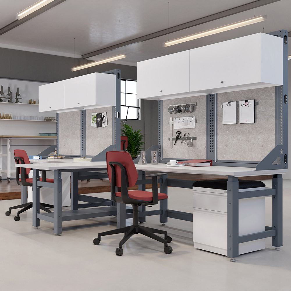 Dual workbench system with upper organizer environmental
