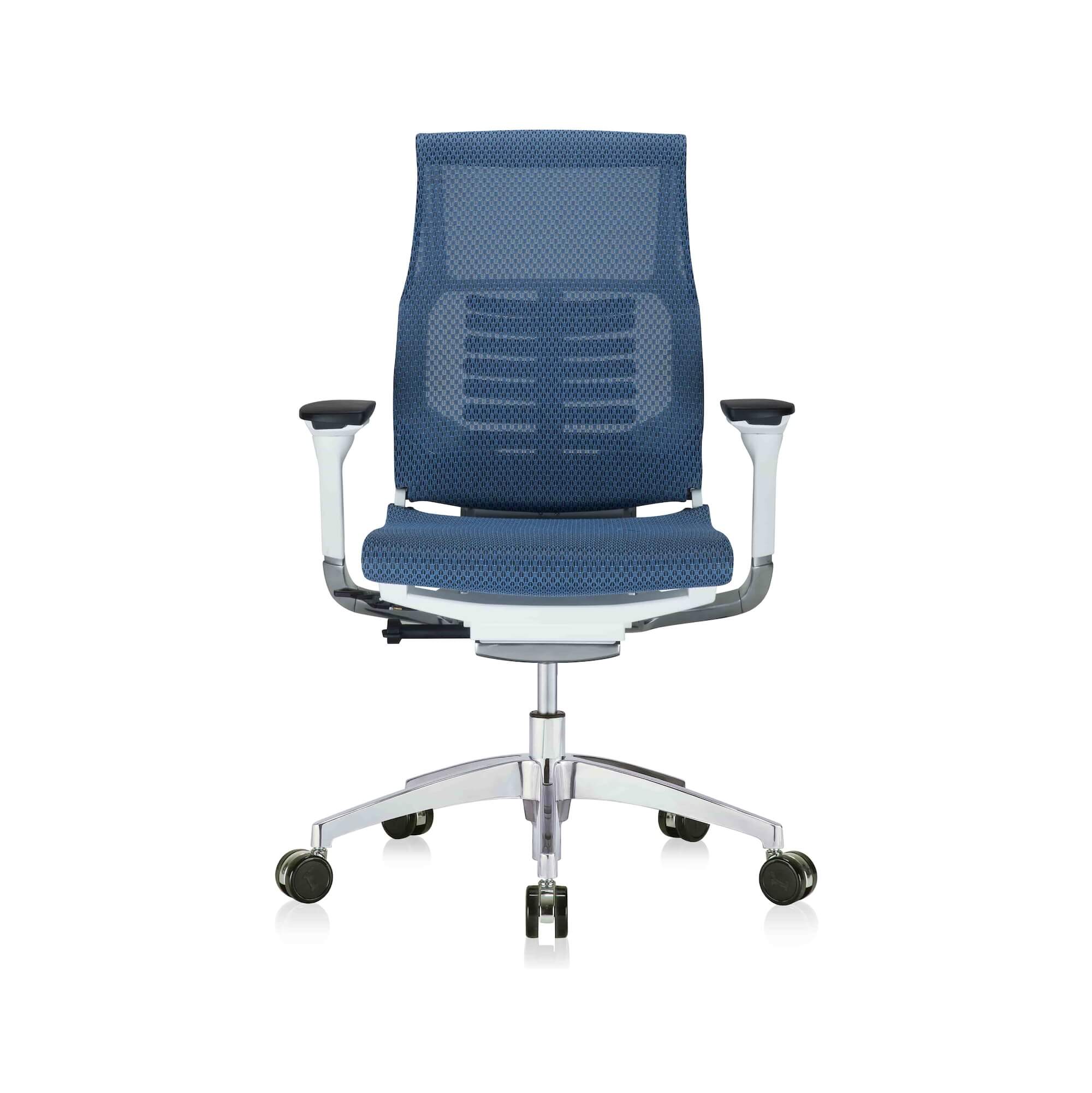 Office furniture chairs office desk chairs executive ergonomic office chair for sciatica blue and white frame front view Office furniture chairs office desk chairs executive ergonomic office chair for sciatica blue and white frame front view