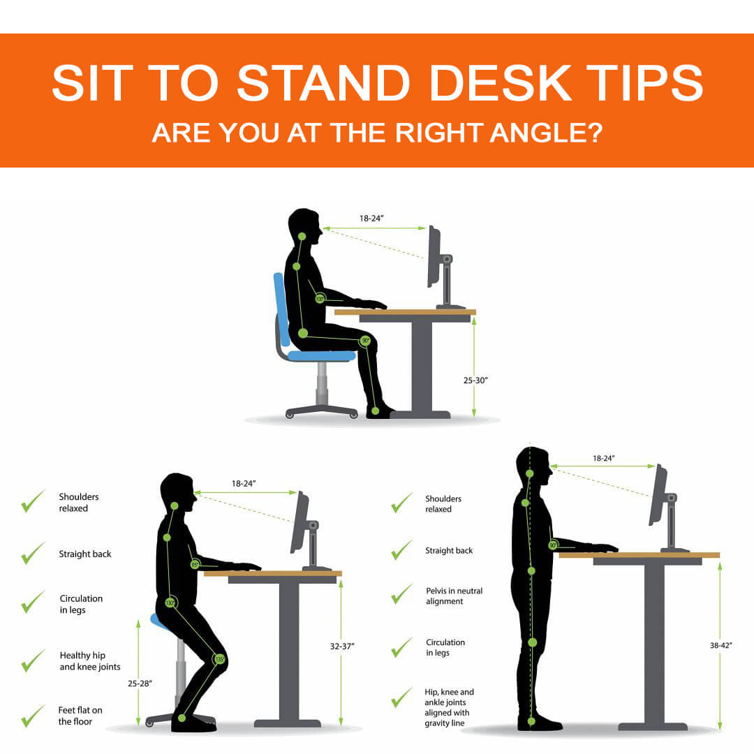 Sit stand desk adjustable 48w x 24d positions