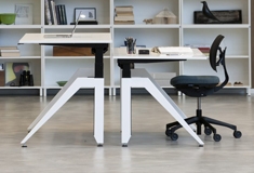 Sit and Stand Desk